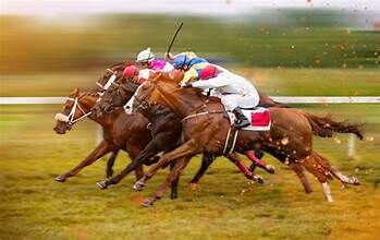 5 Reasons the Track Matters for Horse Race Betting